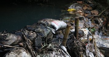 Hé lộ giám đốc công ty thuê 3 người xả dầu thải đầu độc nước sông Đà