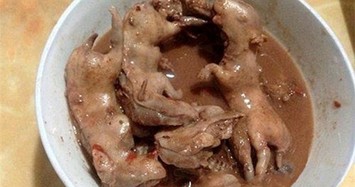 Những món ăn từ thịt chuột khiến nhiều người hoảng sợ
