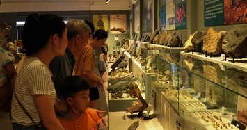 Cận cảnh phiến đá cổ niên đại tới 2,9 tỷ năm độc nhất Việt Nam