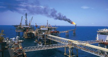 Cổ phiếu dầu khí tăng mạnh ngược chiều diễn biến giá dầu