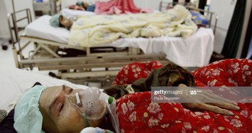 Nhìn lại cuộc chiến chống dịch cúm gia cầm kinh khủng ở Hà Nội năm 2004