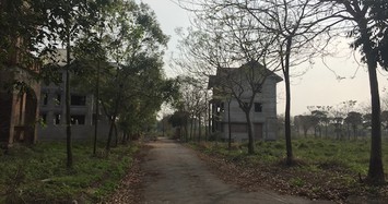 Những dự án khu đô thị nào đang bị bỏ hoang tại Mê Linh?