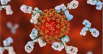 Nhà khoa học bệnh viện ĐH Lausanne tìm thấy kháng thể chống lại mọi biến thể virus SARS-CoV-2