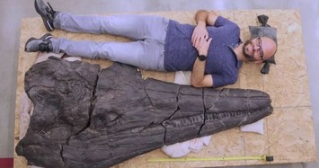 Video: Sửng sốt “quái vật biển” thần thoại dài gần 20m