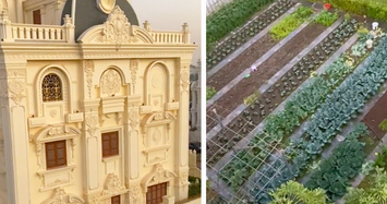 Video: Trầm trồ vườn rau đặc biệt trong biệt thự nhà giàu