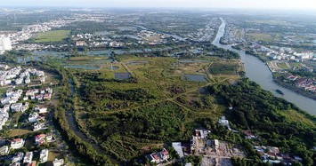 Vì sao không xử lý hình sự TGĐ Quốc Cường Gia Lai Nguyễn Thị Như Loan vụ mua rẻ 32 ha đất công?