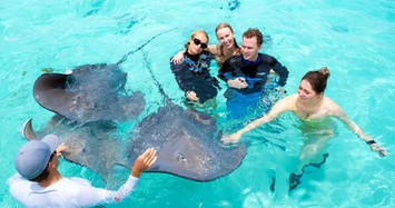 Rich kid Paris Hilton chụp ảnh cùng cá đuối trong tuần trăng mật với chồng đại gia 