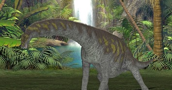 Điều đặc biệt về loài khủng long dài nhất mọi thời đại 