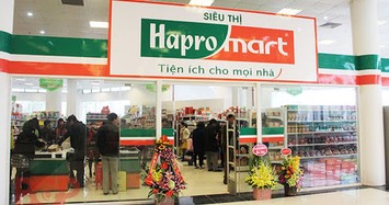Hapro chi 16 tỷ mua cổ phần Công nghệ phẩm Hải Dương từ Hapro Holding