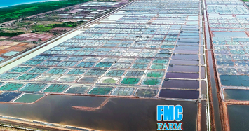 Chăn nuôi CP Việt Nam chi 327 tỷ để nâng sở hữu tại FMC lên 24,9% vốn