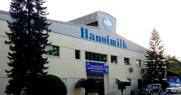 Không công bố thông tin, Hanoimilk bị phạt 85 triệu đồng
