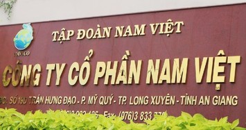 Nối gót Chủ tịch, thêm lãnh đạo Nam Việt muốn bán bớt cổ phiếu ANV