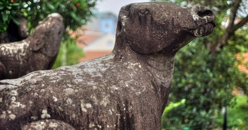 Những hình tượng con trâu trên bảo vật quốc gia Việt Nam