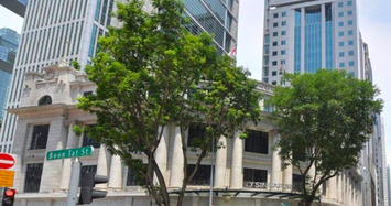 Viva Land liên quan Vạn Thịnh Phát chi đến 173 triệu USD mua khách sạn ở Singapore