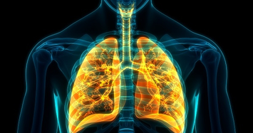 Tìm thấy tế bào riêng biệt trong phổi người, có thể thiên biến vạn hóa