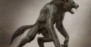 Những câu chuyện bị nghi có thật về người sói 