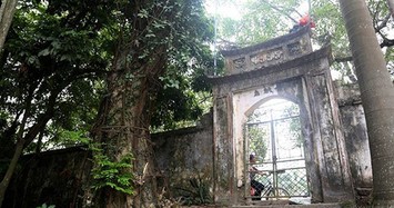 Chuyện ly kỳ cây sưa trăm tỷ mặc áo giáp sắt ở Hà Nội