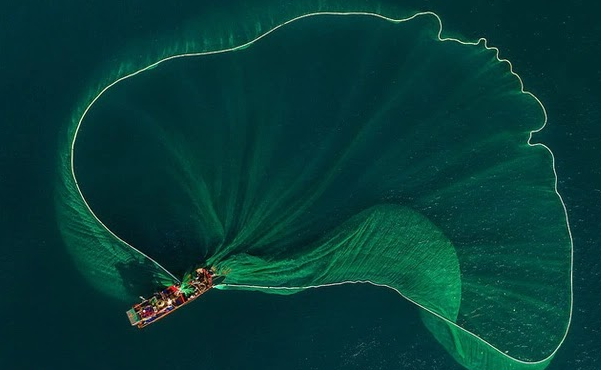 Video: Ngư dân tung lưới đánh cá đầy ấn tượng ở biển Bình Định