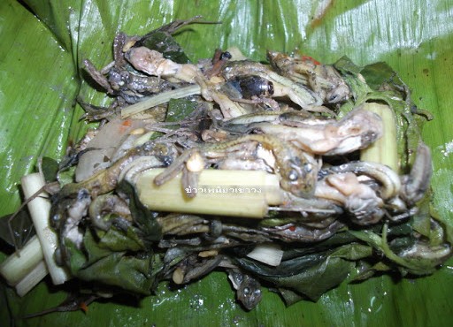 Món ăn kinh dị của Thái Lan - nòng nọc hấp lá chuối 