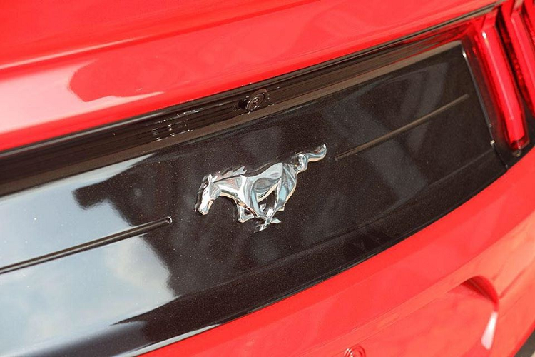 Ford Mustang 55th Edition dep khong ty vet hon 3 ty dong-Hinh-9