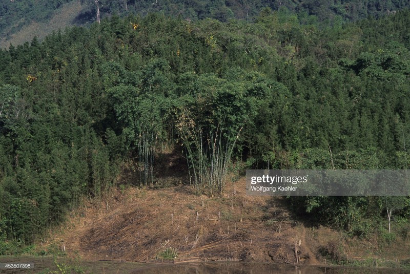 Hoa Binh hoang so day binh di cua nam 1992-Hinh-8